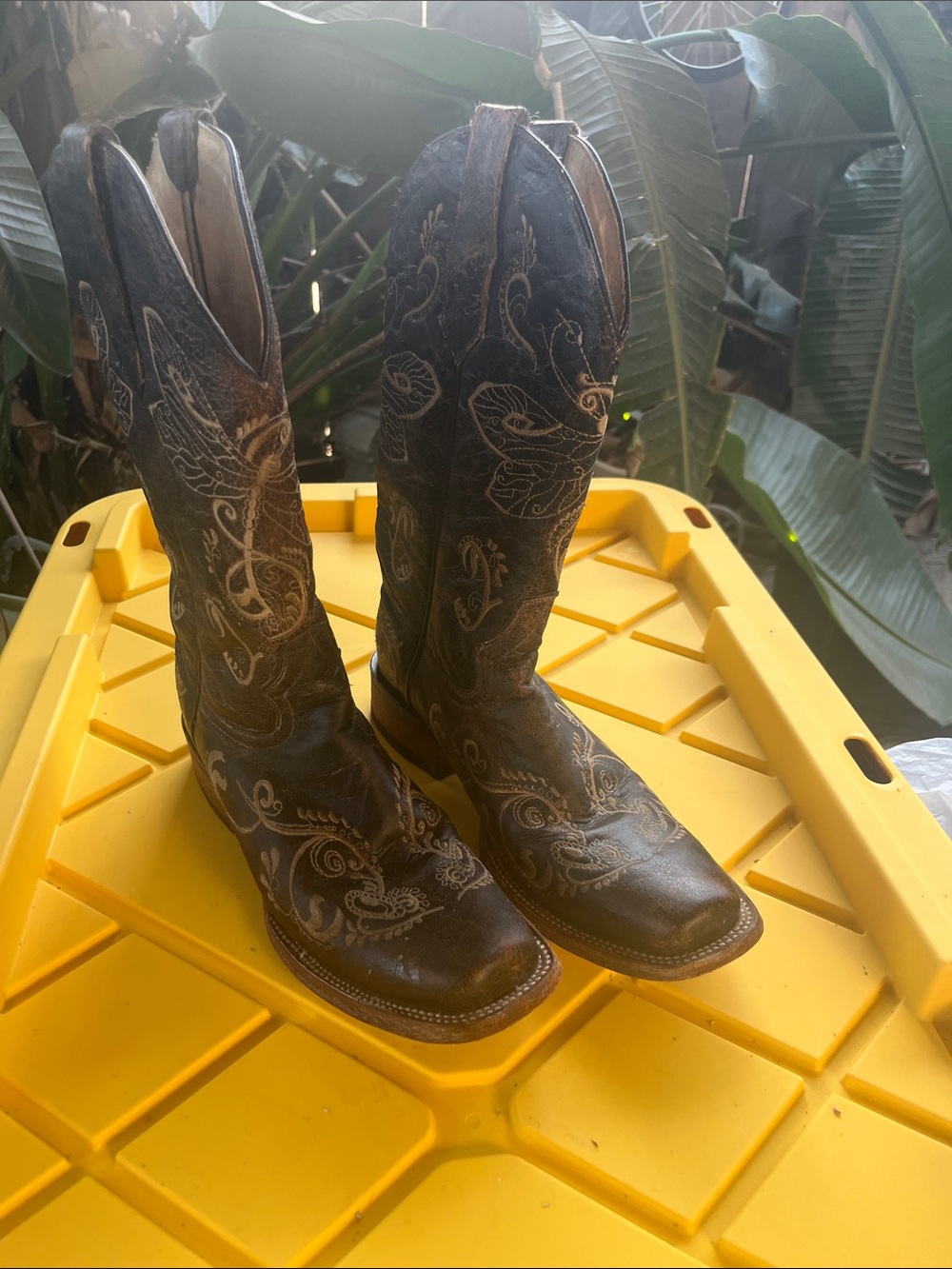 Embroidered Brown Women’s Western Heeled Boots